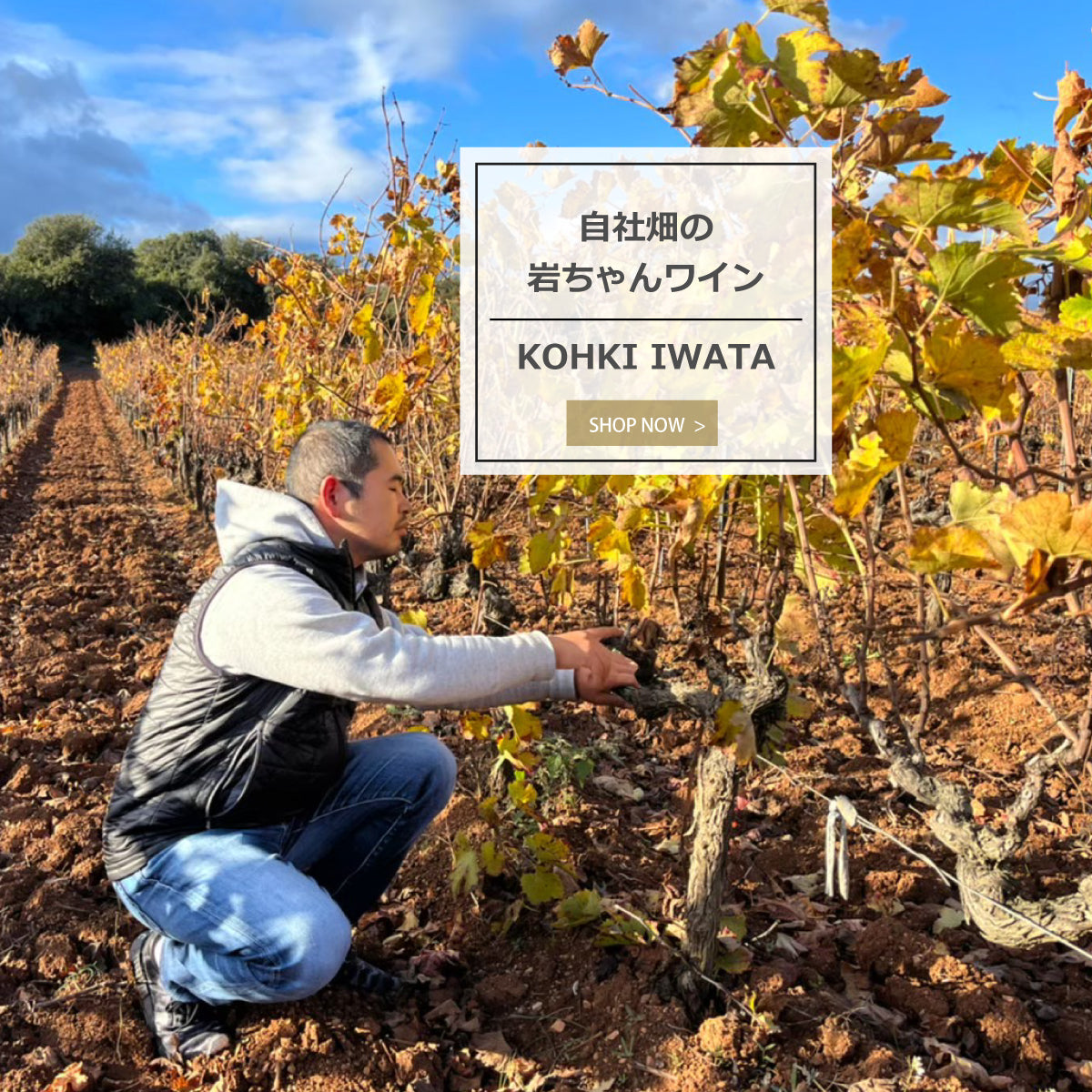 岩ちゃんワイン