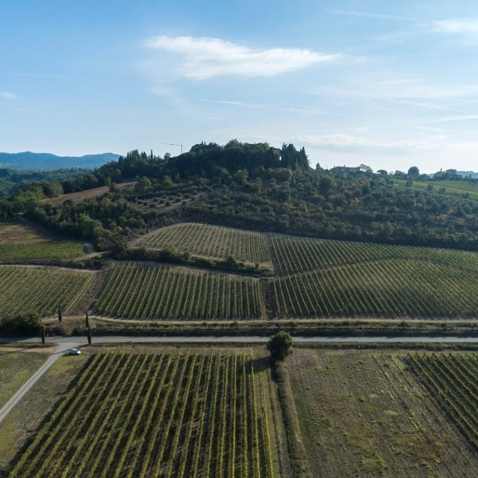 [イタリアワイン]ファットリア・サン・ジュースト・ア・レンテンナーノ   ロザート・トスカーナ　フオーリ・ミズーラ 2021 ロゼ 750m