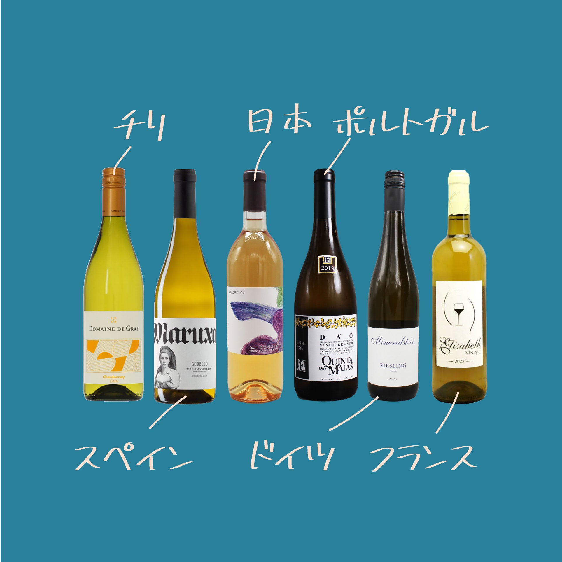 お得なセット]世界の白ワイン 6本セット｜世界と日本の白ワイン飲み