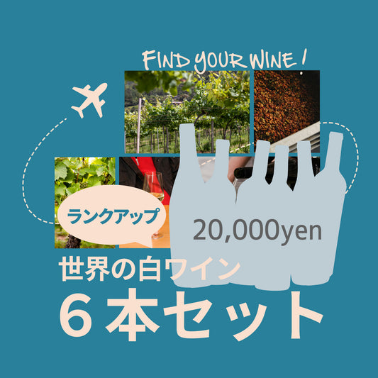 [お得なセット]世界の白ワイン ６本セット ランクアップ｜世界と日本の白ワイン飲み比べ