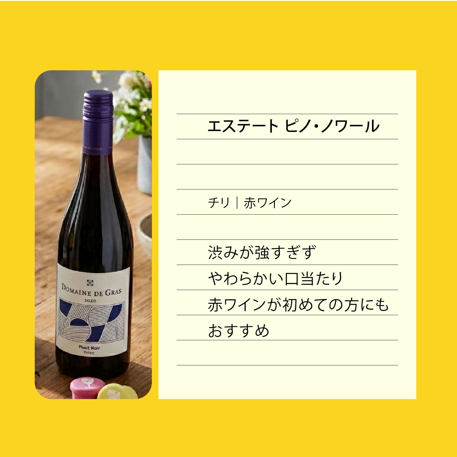 お得なセット】はじめてのワインセット 泡・白・赤 飲み比べ