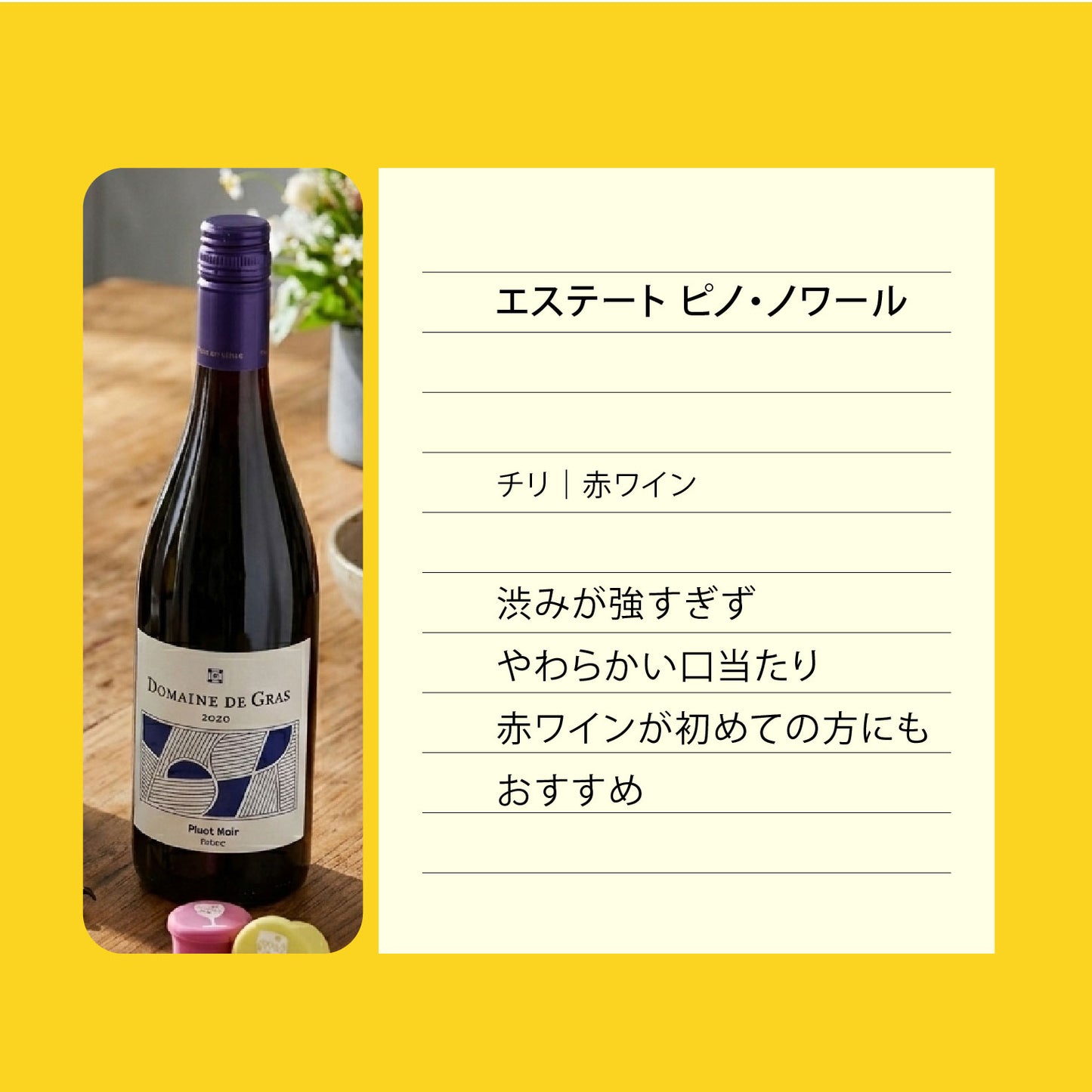 【お得なセット】はじめてのワインセット 泡・白・赤 飲み比べ