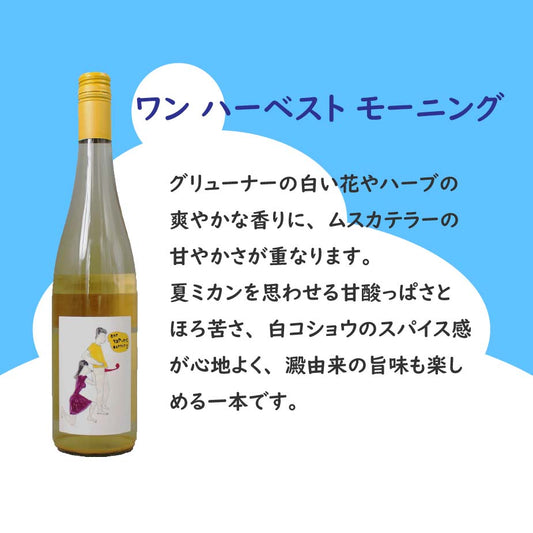 [お得なセット] 夏を愉しむ すっきり軽快 白ワイン3本セット｜世界と日本の爽快白飲み比べ