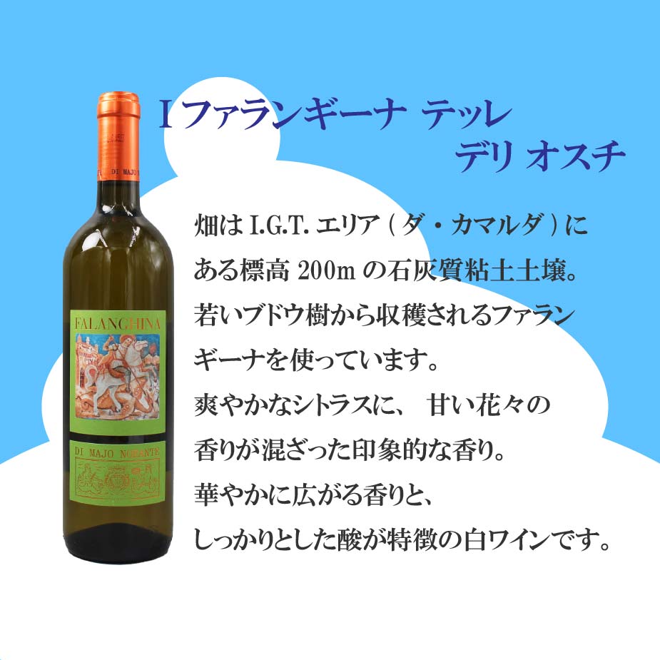 [お得なセット] 夏を愉しむ プレミアム白ワイン6本セット ランクアップ｜世界のミネラル白飲み比べ