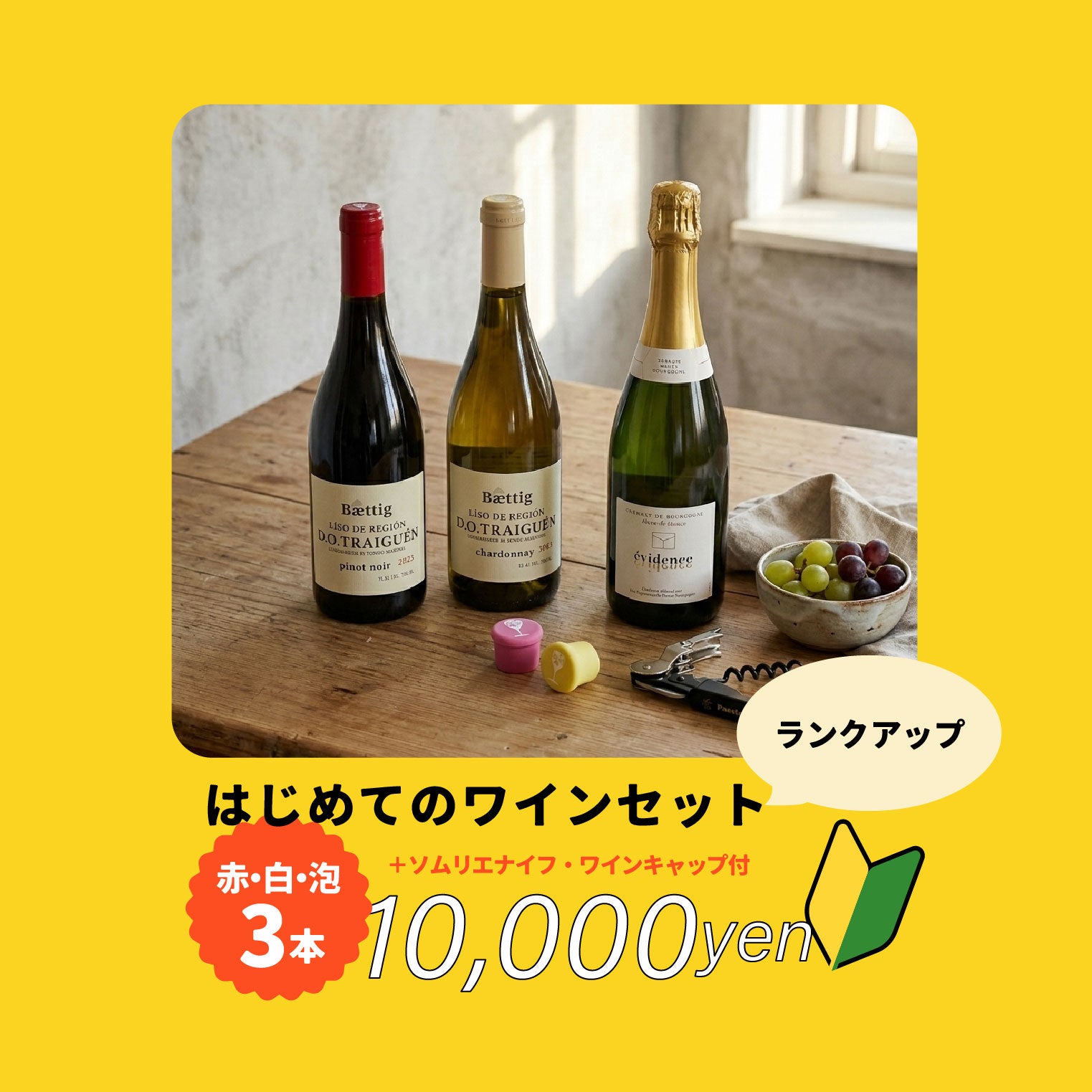 新生活の乾杯 はじめての一杯フェア – ナチュラルワイン専門オンライン