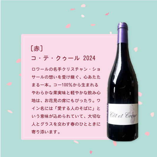 [お花見 ワイン セット]赤白ロゼ3本＋ソムリエナイフ＆グラス付き（送料無料）