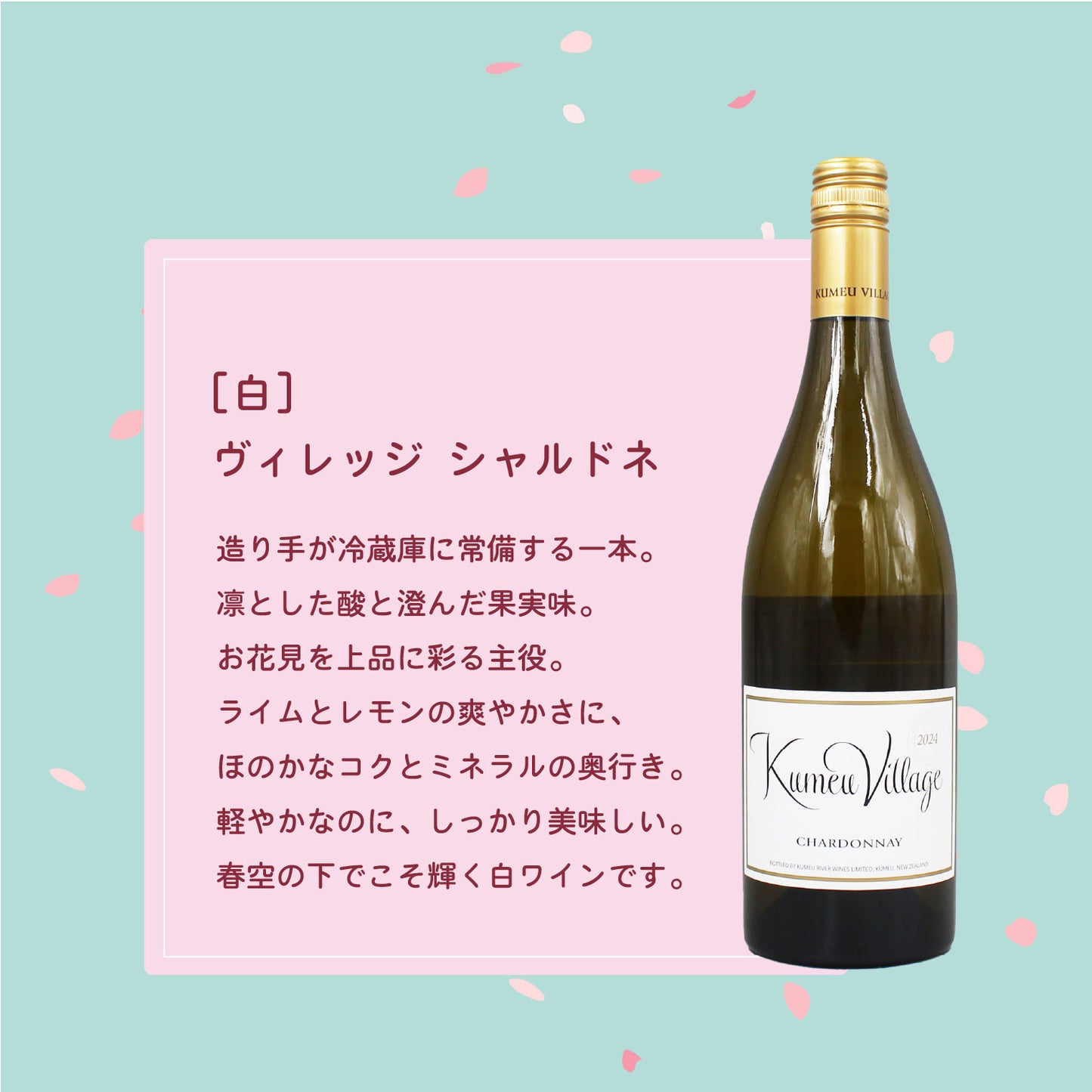 [お花見 ワイン セット]赤白ロゼ3本＋ソムリエナイフ＆グラス付き（送料無料）