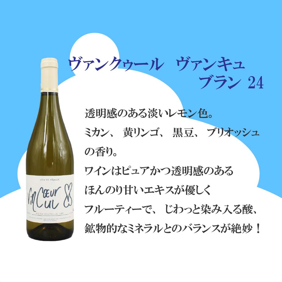[お得なセット] 夏を愉しむ プレミアム白ワイン6本セット ランクアップ｜世界のミネラル白飲み比べ