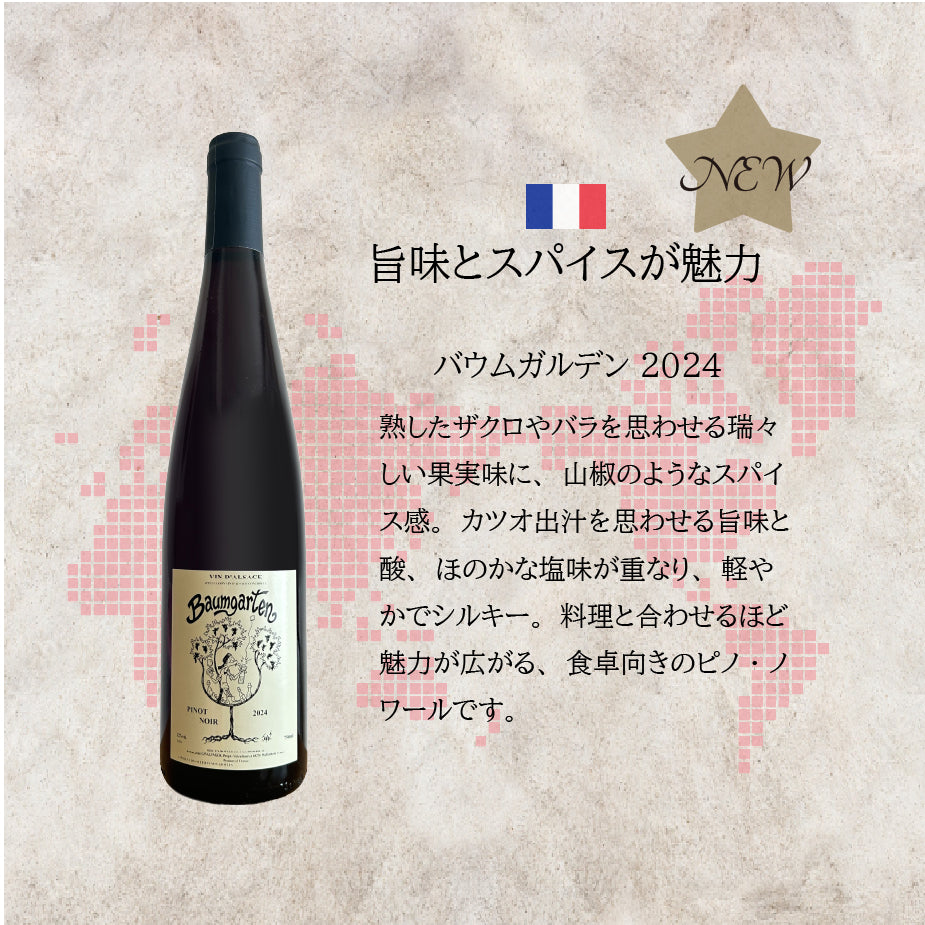 [お得なセット]世界のピノノワール巡り｜品種別ワイン 飲み比べセット