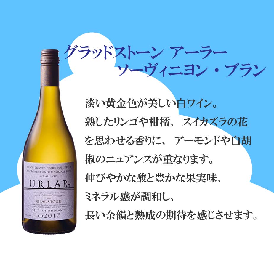 お得なセット] 夏を愉しむ プレミアム白ワイン6本セット ランクアップ