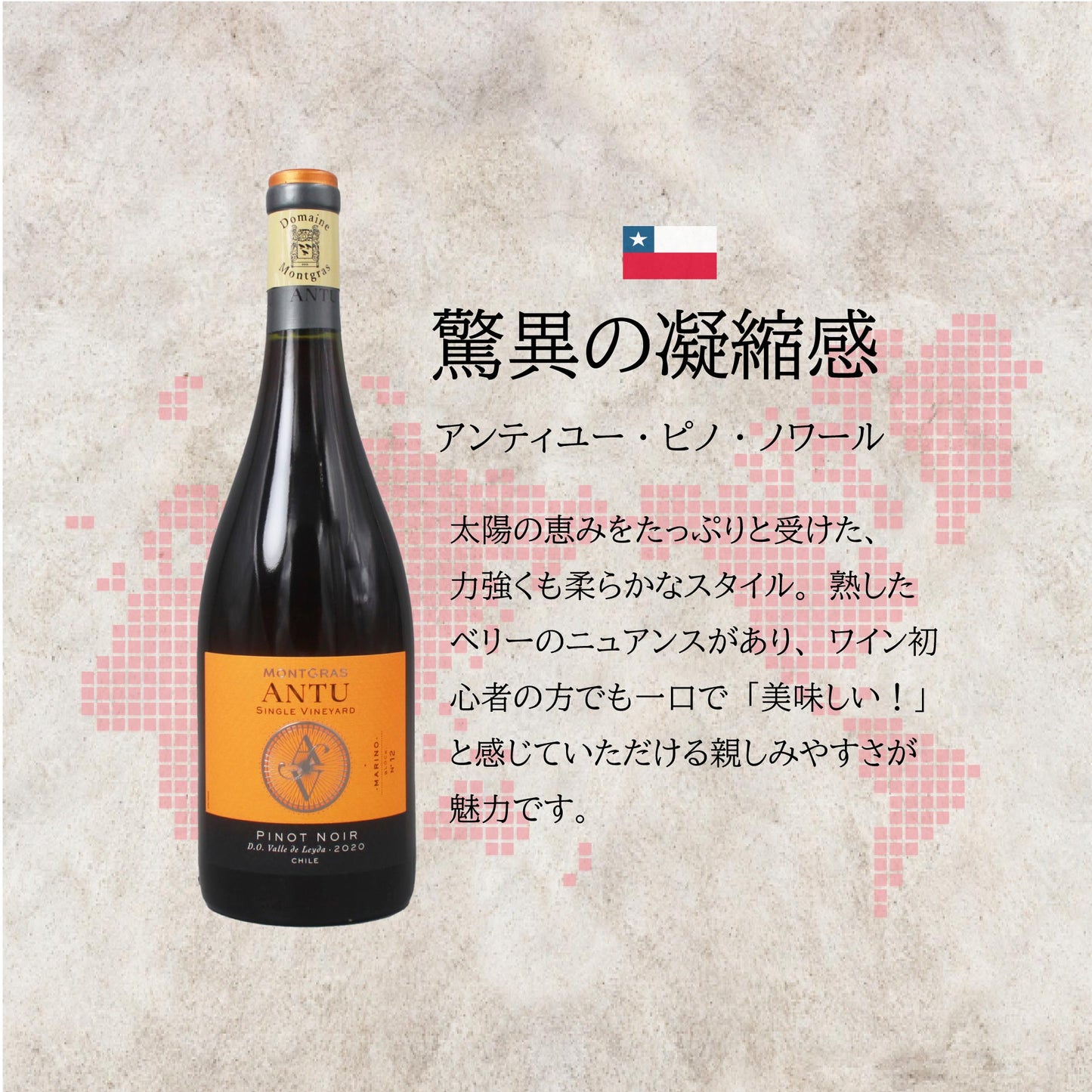 [お得なセット]世界のピノノワール巡り｜品種別ワイン 飲み比べセット