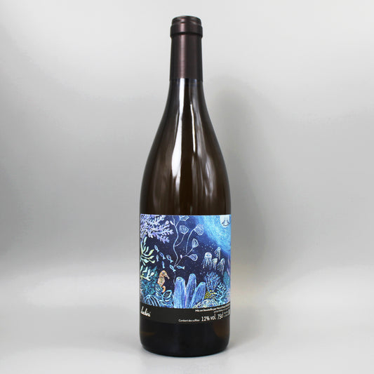 [フランスワイン]マイ エ ケンジ ホジソンルッチーニ ブラン 2022 2023 白 750ml