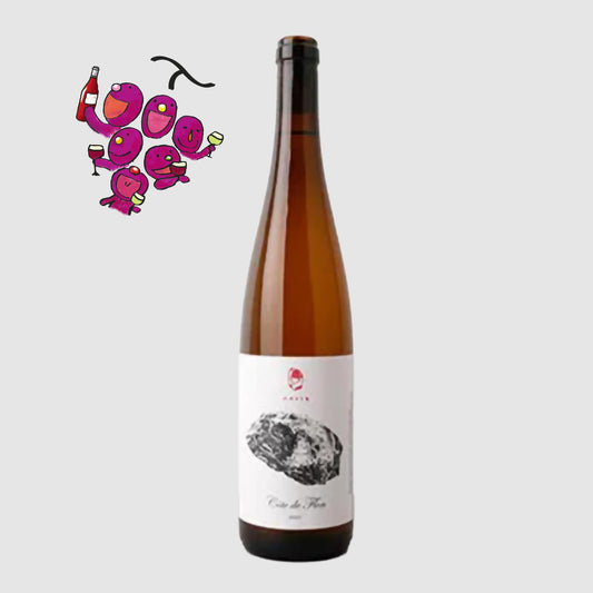 [ドイツワイン]ヴァイングート ヴェルナー マルト コート ド フロン 2023