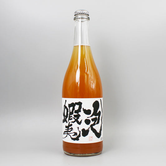 [日本ワイン]ドメーヌ・イチ　蝦夷泡 Ｐ 2024 750ml