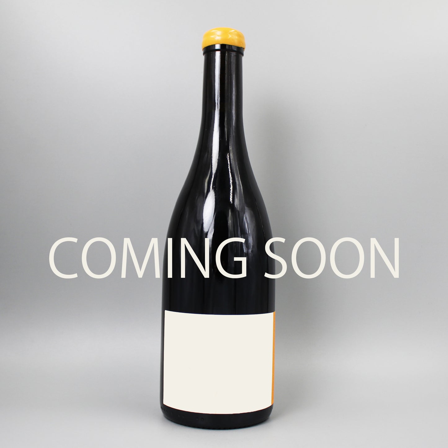 [フランスワイン]フィリップ パカレ ニュイサンジョルジュ ブラン １er ダモット 2019 白 750ml