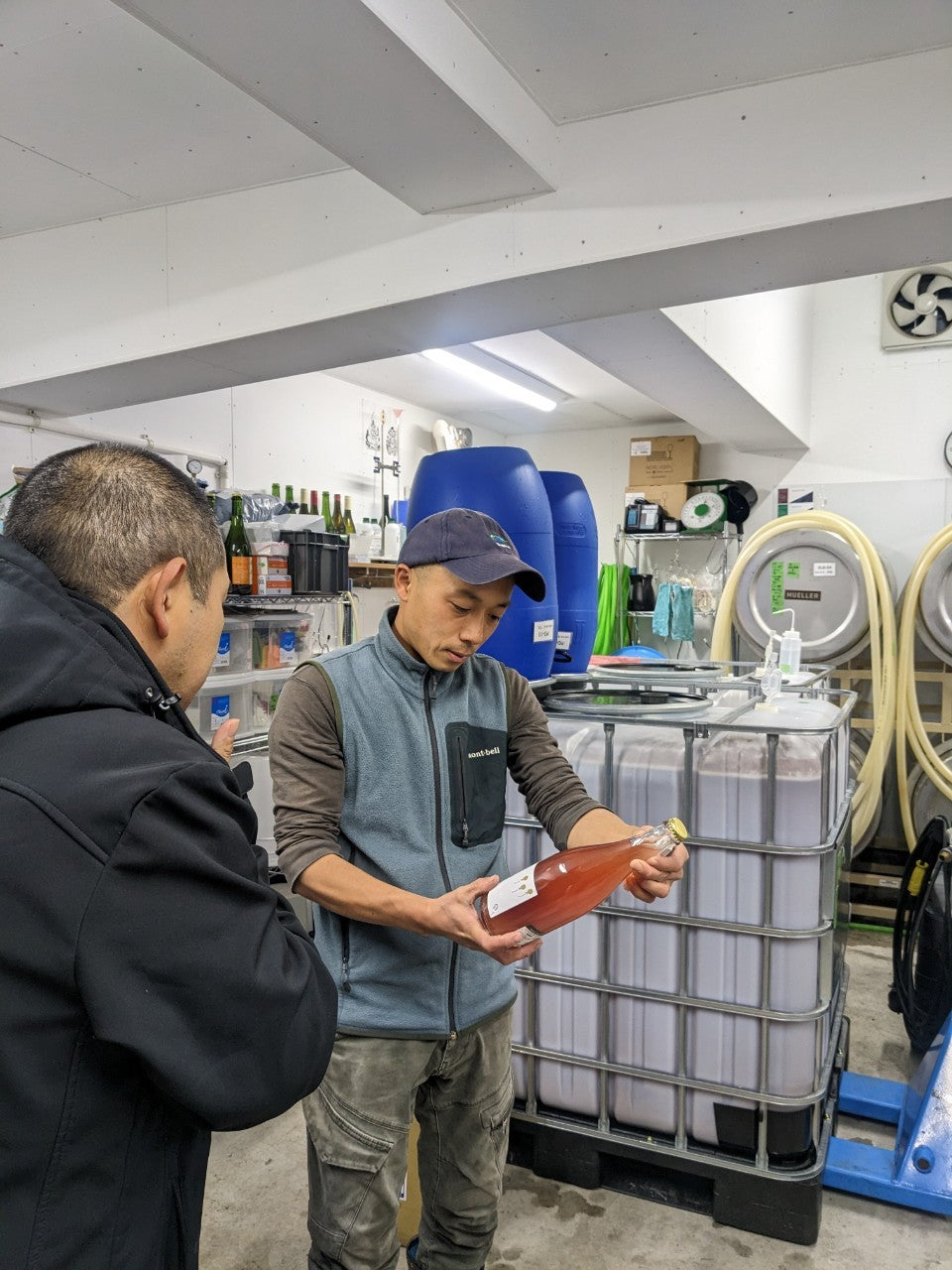 日本ワイン]山田堂 ナイアガラ ヌーヴォ 2025 白泡 750ml – ナチュラル