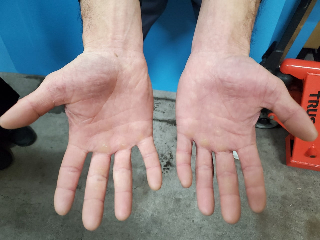 日本ワイン]ラン セッカ 雀色時（すずめいろどき）2022 赤 750ml