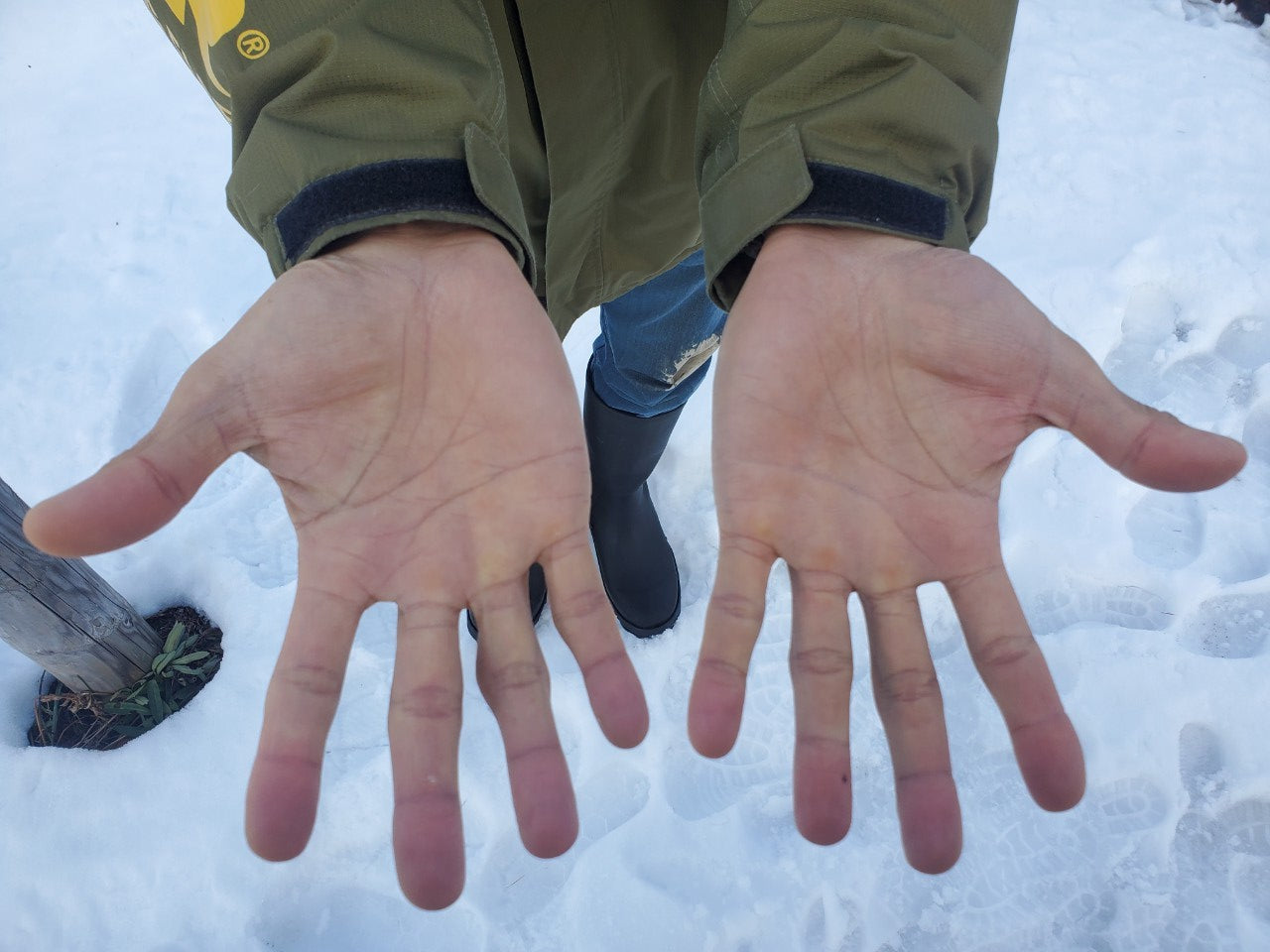 日本ワイン]モンガク谷ワイナリー 楢【ナラ】 2023 白 750ml