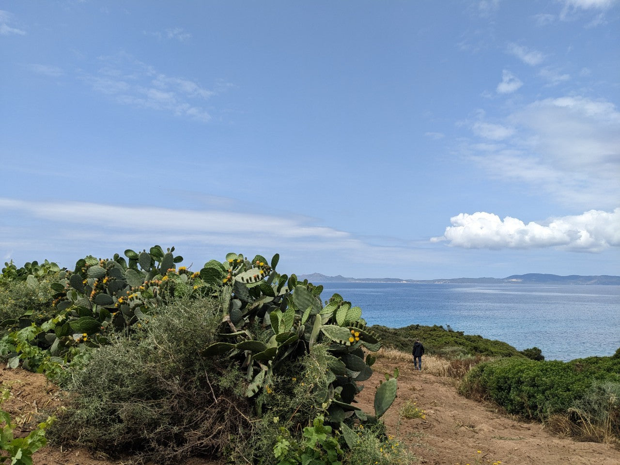 イタリアワイン]サンターディ スルキ ロッソ 赤 NV 750ml – ナチュラル