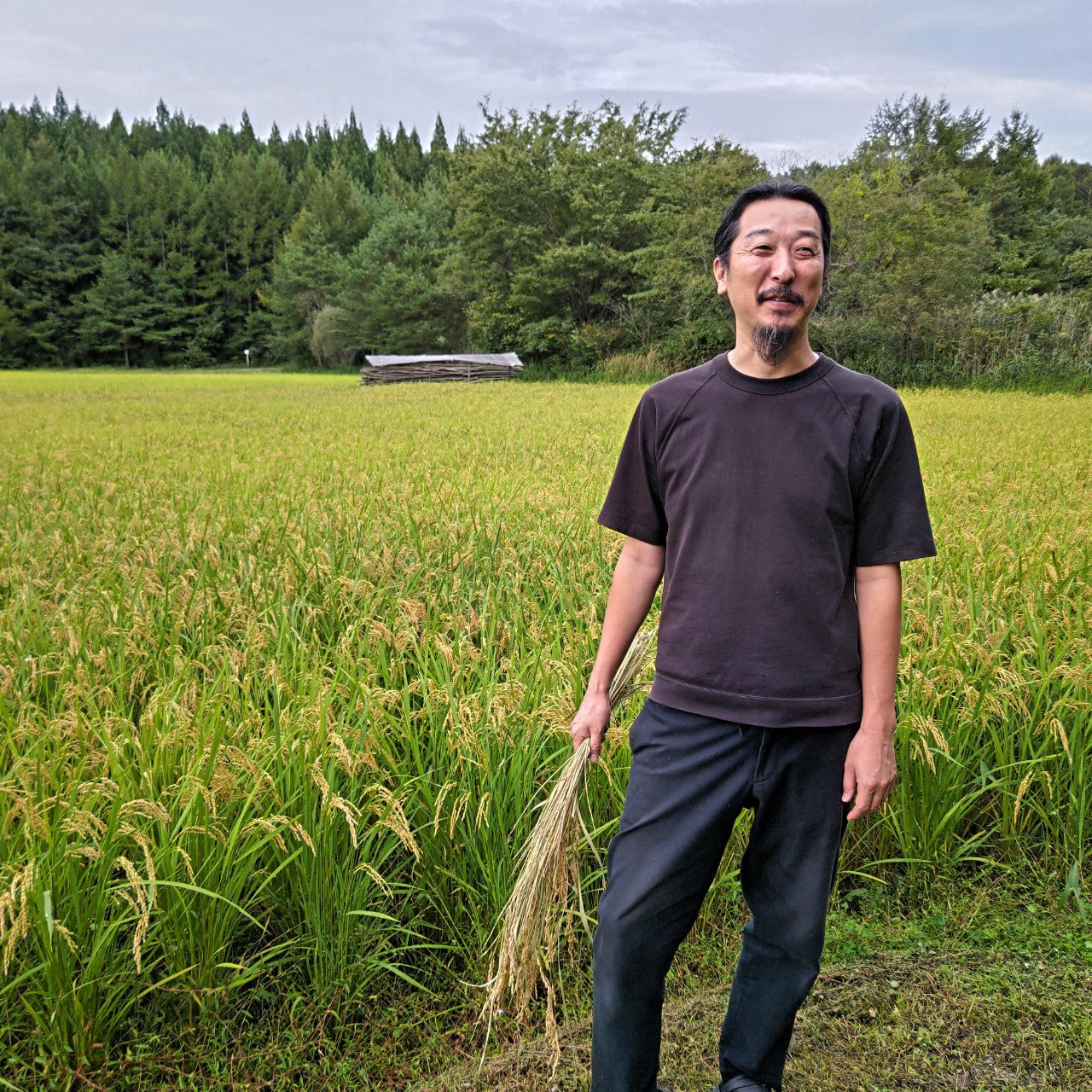 [日本酒]nondo どぶろく 水酛無添加生 盛岡羽場五百万石 500ml