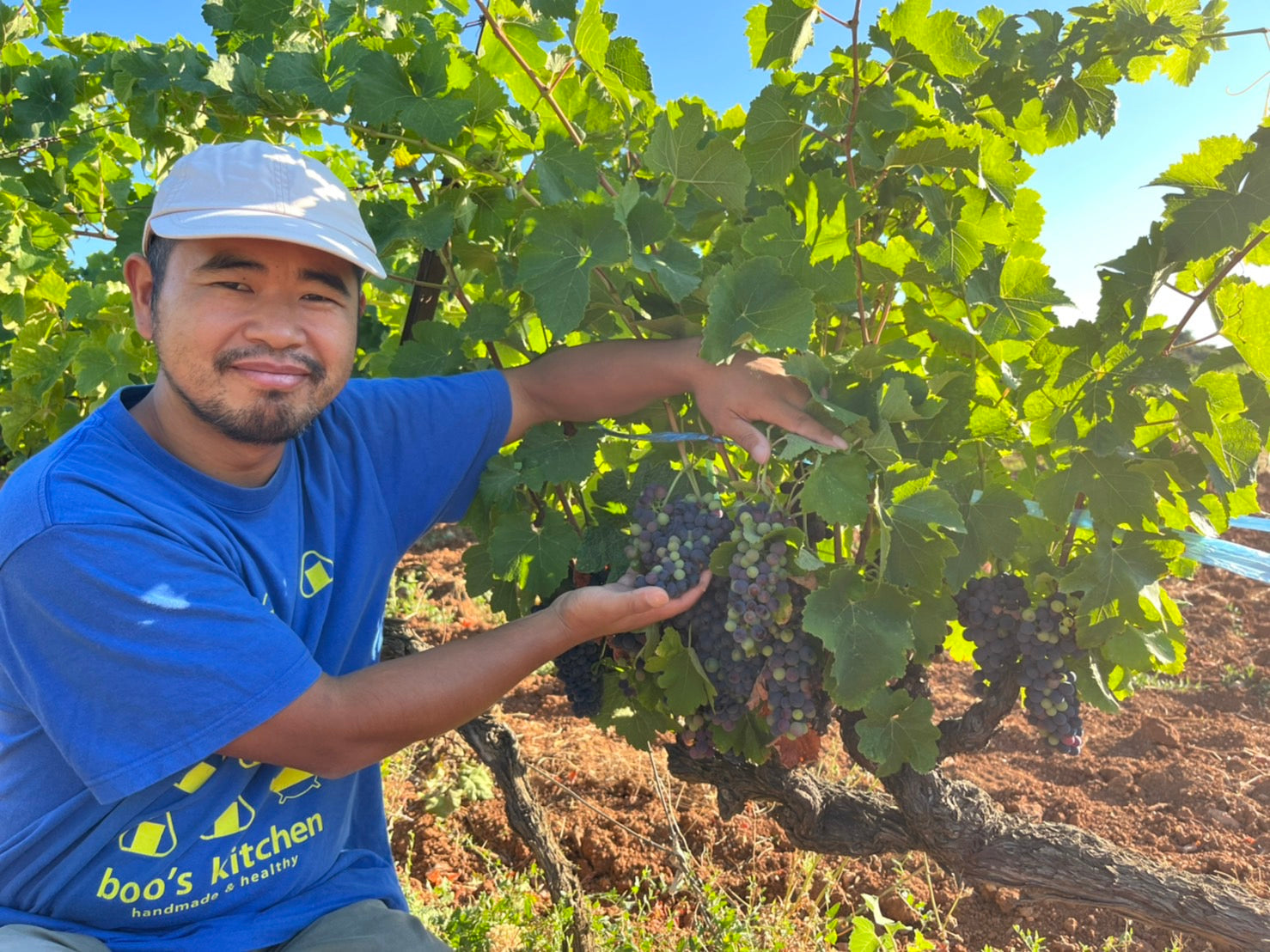フランスワイン]ワ シュッド ガンガン ブラン 2022 白 750ml