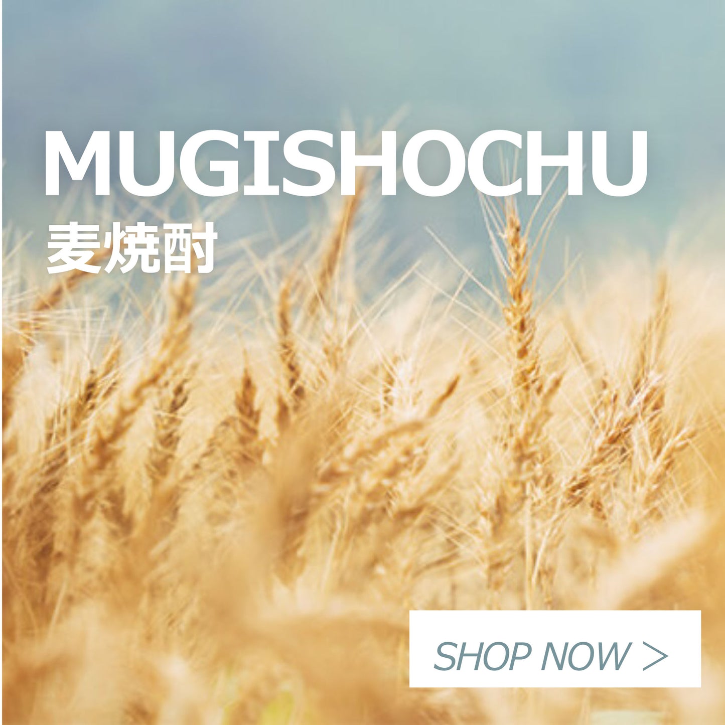 [麦焼酎]藤居醸造 ふんわり涼やか 特蒸泰明 19度 180ml