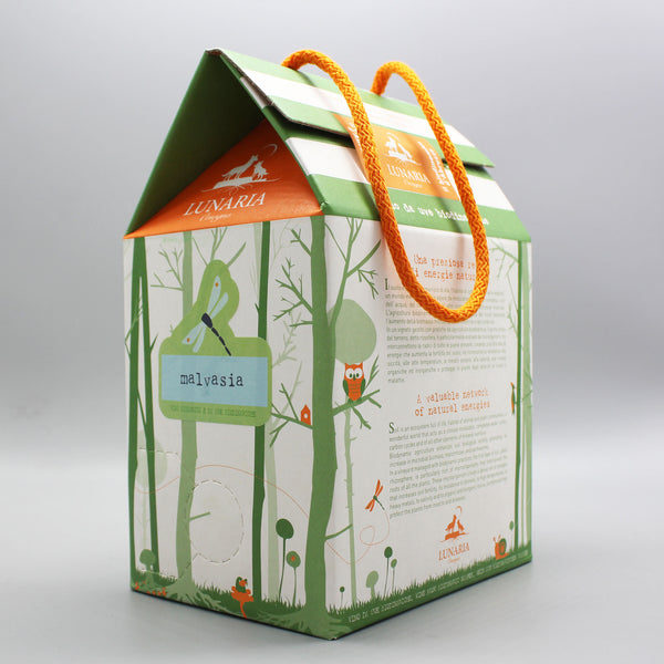 イタリアMONTECATINI社輸送用ボックス-B／インダストリアル系インテリア